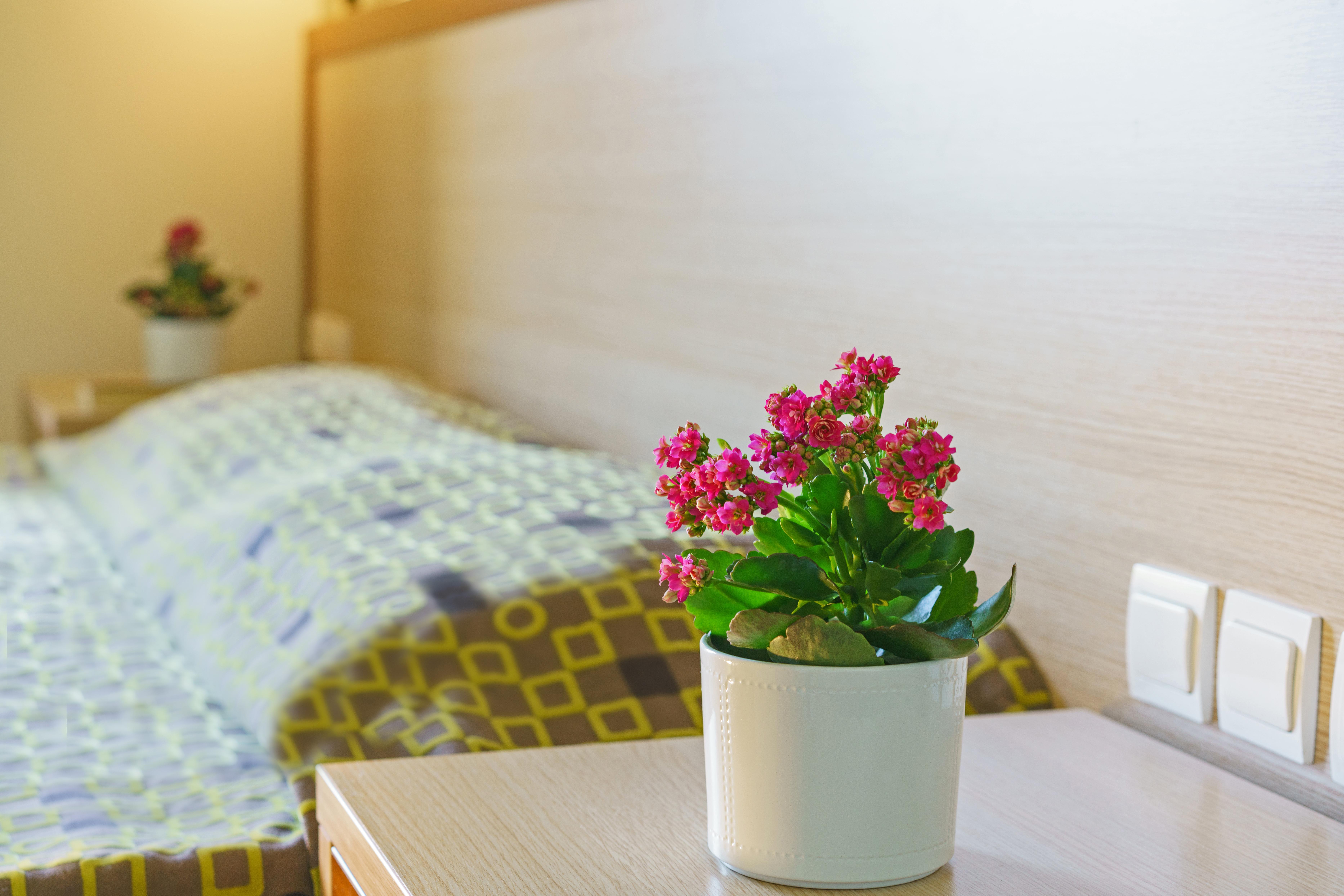 Alianthos Hotel 3*