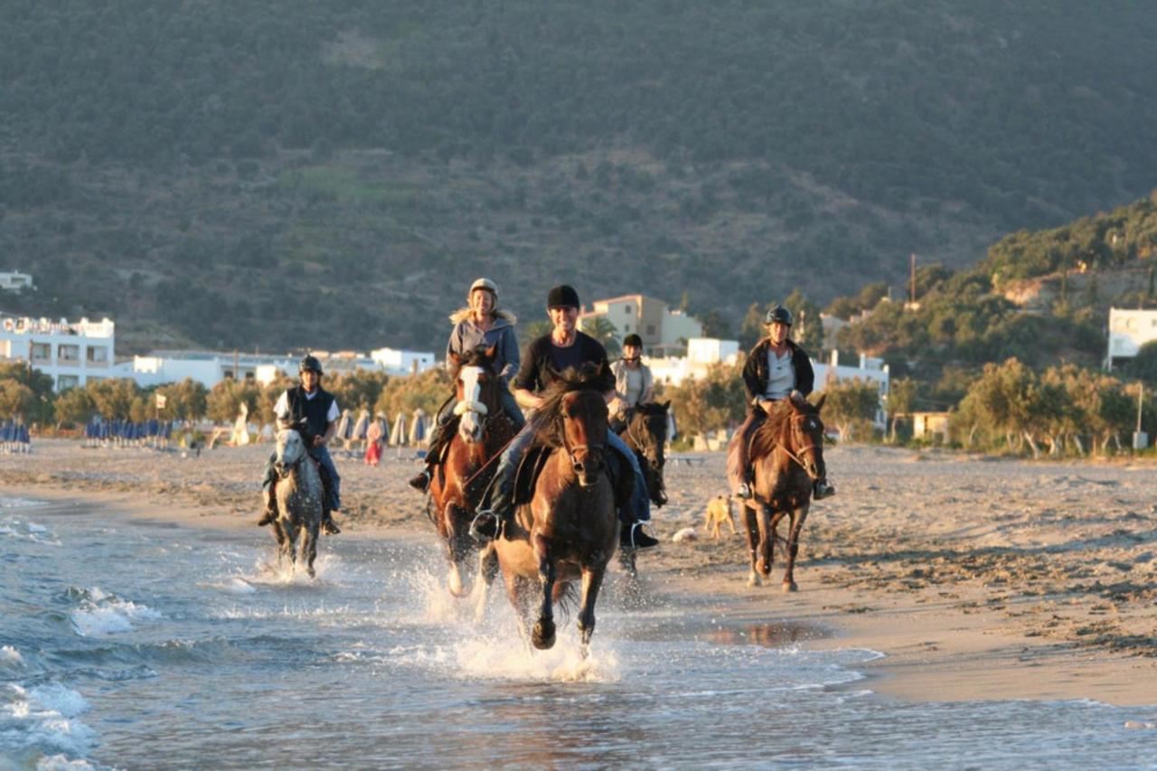 Alianthos Hotel Plakias